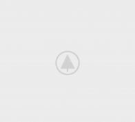 wood-gallery-placeholder-5 wood-gallery-placeholder-5