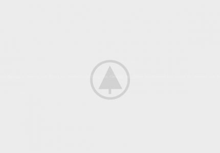wood-gallery-placeholder wood-gallery-placeholder