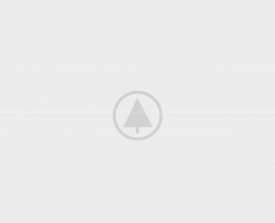 wood-portfolio-placeholder wood-portfolio-placeholder