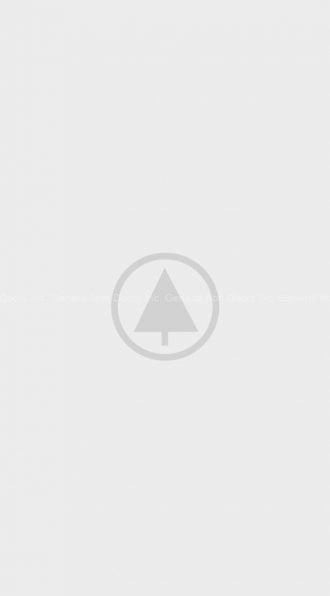 wood-portfolio-placeholder wood-portfolio-placeholder