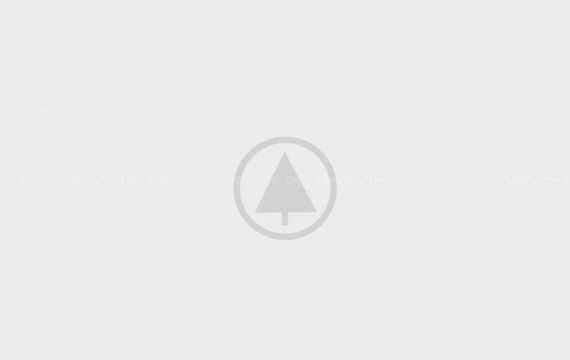 wood-portfolio-placeholder wood-portfolio-placeholder
