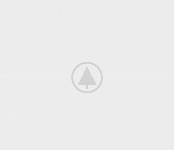 wood-portfolio-placeholder wood-portfolio-placeholder